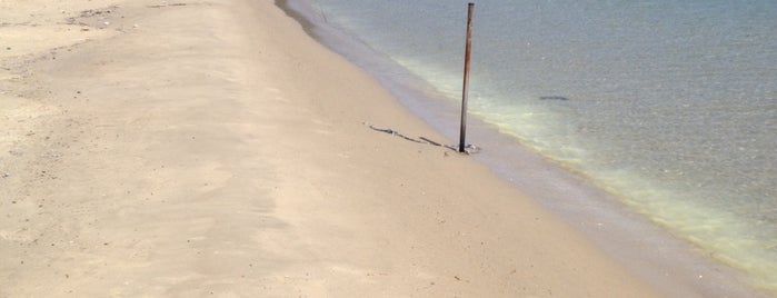 Koukounaries Beach is one of Greece.