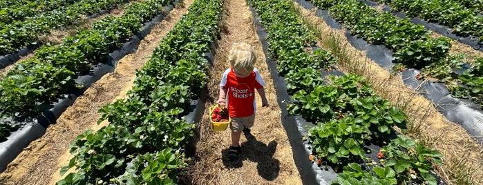 Waller Farms is one of Fresh Farms.