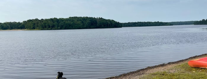 Tobyhanna State Park is one of Julie's things to do.