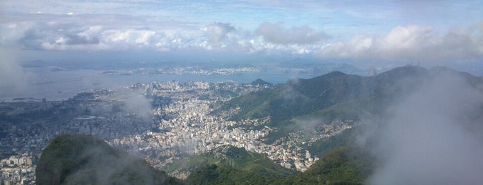 Pico da Tijuca is one of สถานที่ที่บันทึกไว้ของ funky.