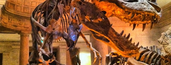 Natural History Museum of Los Angeles County is one of Lieux sauvegardés par Phillip Sheppard.