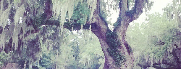 Middleton Place is one of Favorites in Charleston.