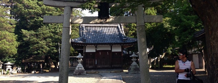 彦根神社 is one of 神社仏閣.