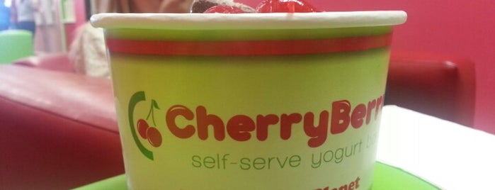 CherryBerry Yogurt Bar is one of favorite places.