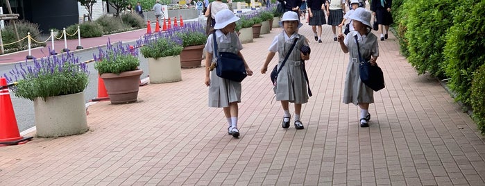 The British School In Tokyo is one of International Schools Worldwide.