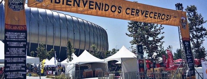 Festival de la Cerveza is one of Lieux qui ont plu à Arturo Enrique.