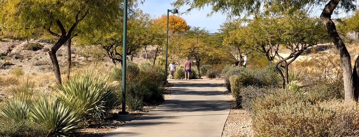 Cottonwood Canyon Park is one of The 15 Best Places for Backyard in Las Vegas.