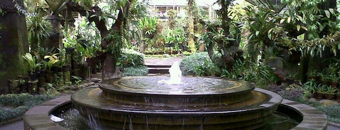 Bali Botanic Garden is one of DENPASAR - BALI.