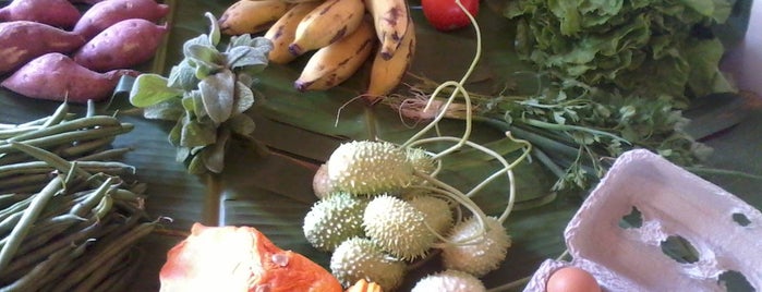 Horto Vitae Alimentos Orgânicos is one of Sim ou Nao: Ilha do Governador.