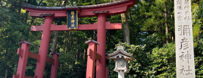 Yahiko Shrine is one of メモ.