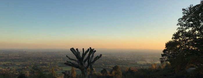 Leith Hill National Trust is one of Lugares favoritos de Del.