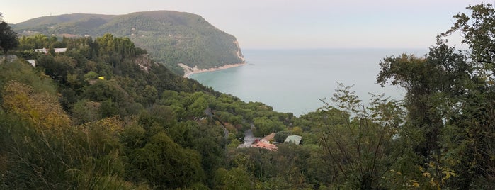 Sirolo Belvedere is one of WILD PINES SEA.