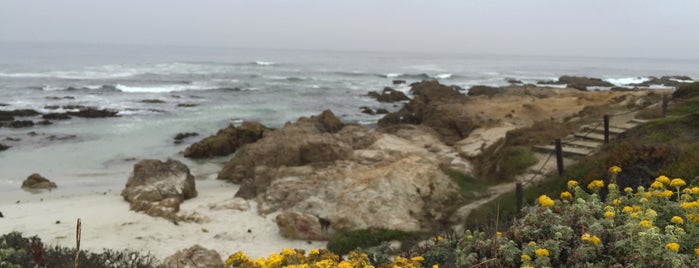 Asilomar State Beach is one of Monterey.