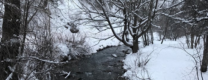 The Mouth of American Fork Canyon is one of Ricardo : понравившиеся места.