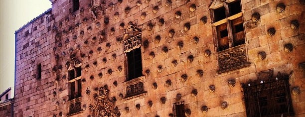 Casa de las Conchas is one of Beginner's Guide to : Salamanca.