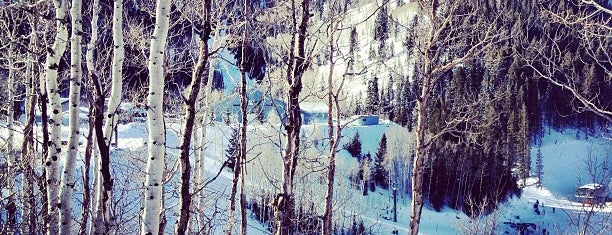 Stein Eriksen Lodge Deer Valley is one of ski bumming.