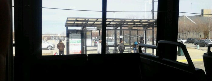 IndyGo Bus Stop (50300) is one of IndyGo.