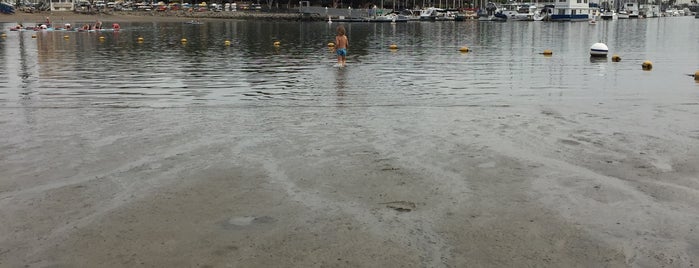 Shores Pool is one of Lugares favoritos de Alexandra.