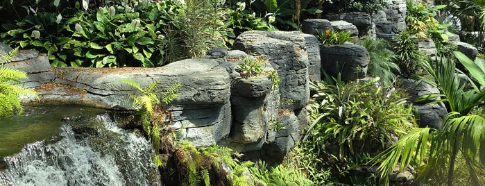 Gaylord Opryland Resort Cascades Waterfall is one of HOTEL WORLDWIDE.