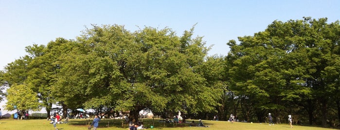 Chikozan Park is one of 公園.