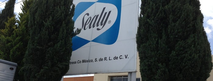Sealy Mattress Company de Mexico is one of pymes.