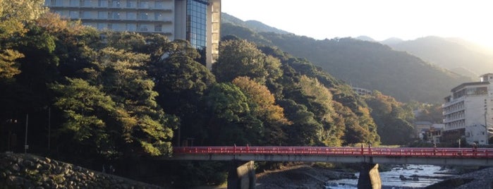 Yumoto Fujiya Hotel is one of Posti che sono piaciuti a Leland.