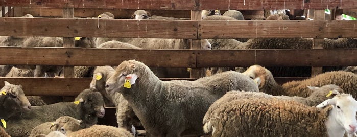 osman goat farm is one of สถานที่ที่ Muhammad ถูกใจ.