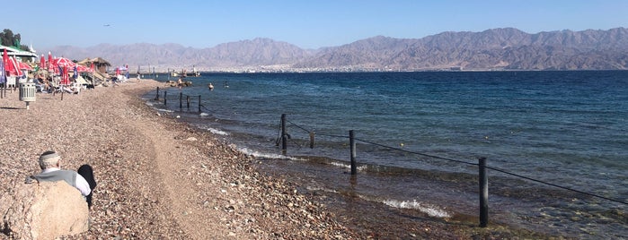 Coral Reef Red Sea is one of To-see in Eilat.