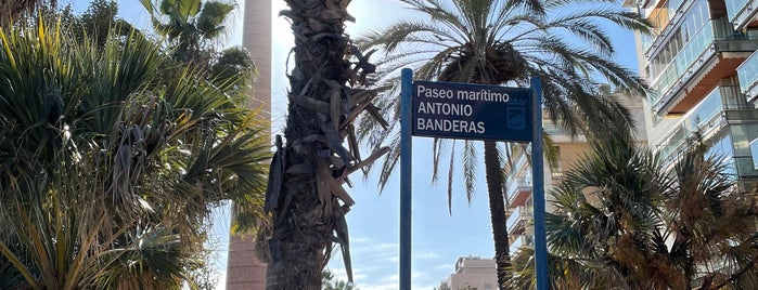 Paseo Marítimo Antonio Banderas is one of 🇪🇸 Andalucia.