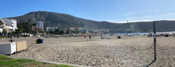 Los Cristianos is one of Tenerife.