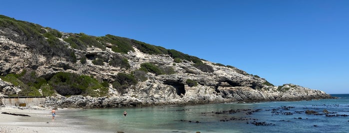 Walker Bay Nature Reserve is one of GO5.