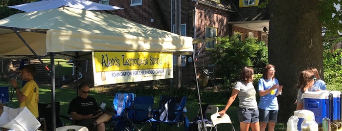 Alex's Lemonade Stand is one of All-time favorites in United States.