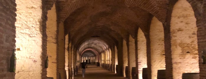 Bodega del Real Cortijo de San Isidro is one of Bodegas.