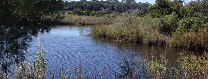 Egans Creek Greenway is one of Orte, die Lizzie gefallen.