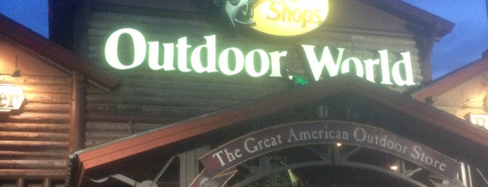 Bass Pro Shops is one of North Ga chill spots.
