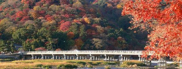 Arashiyama is one of Japan - KYOTO.