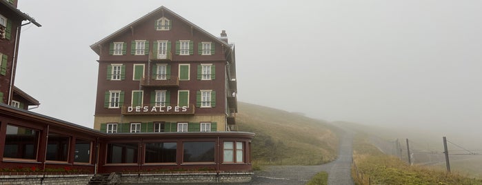 Hotel Bellevue des Alpes is one of Return with Mo.