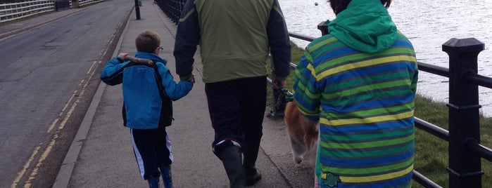 Hollingworth Lake Country Park is one of Tristan’s Liked Places.