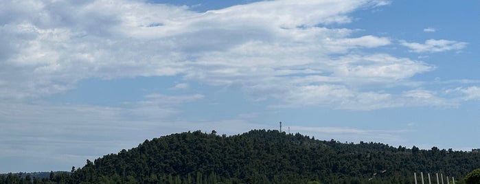 Paliouri camping is one of Dedeağaç-Thassos.