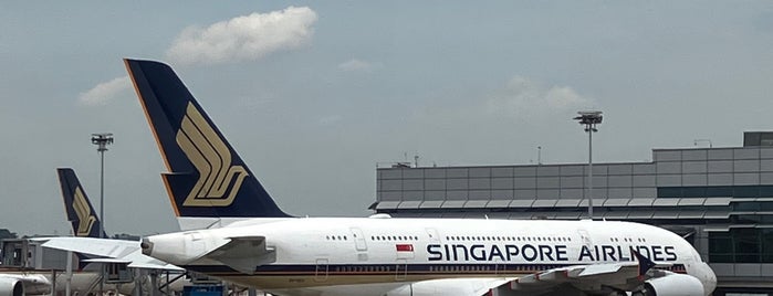 Tarmac / Apron is one of p sg.