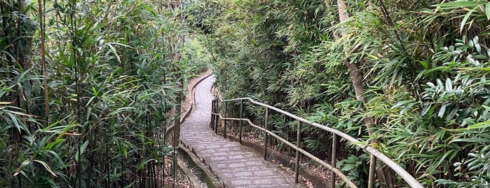 Lung Fu Shan Country Park is one of สถานที่ที่ Rex ถูกใจ.