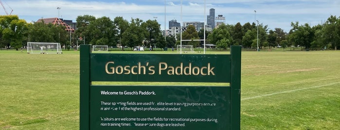 Gosch's Paddock is one of AFL Grounds, Venues, Stadiums.