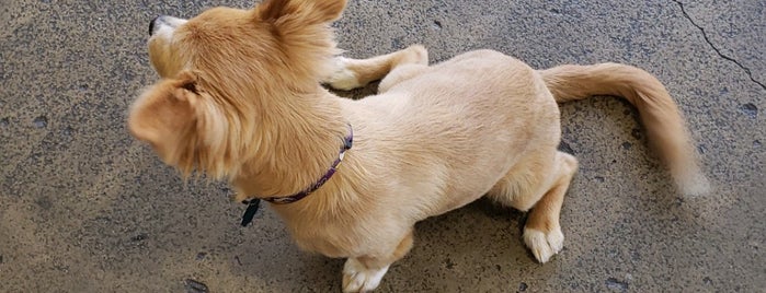 Centinela Feed & Pet Supply is one of Orte, die Maya gefallen.