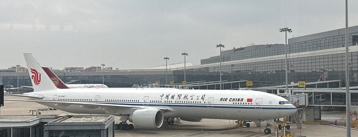 Shanghai Hongqiao International Airport (SHA) is one of สถานที่ที่ Irina ถูกใจ.