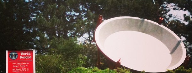 World's Largest Cherry Pie Pan is one of World's Largest ____ in the US.