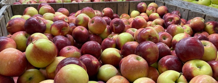 Bolton Orchards and Country Store is one of Farms, Farm Stands, Farmers Mkts.