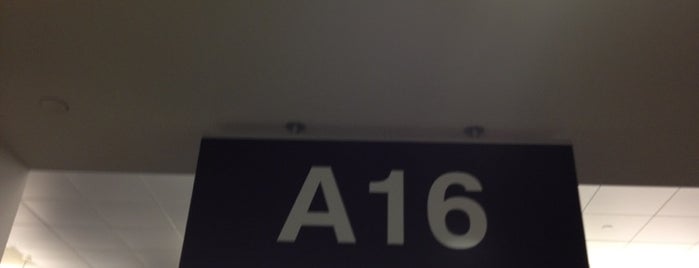 Gate A16 is one of Stephenさんのお気に入りスポット.