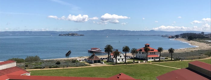 Crissy Field Overlook is one of Take zucchini.
