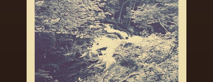 Bard Creek Waterfall is one of Waterfalls.