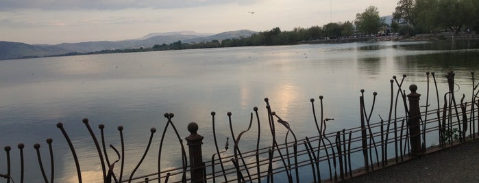 Ioannina Lake is one of Greece.